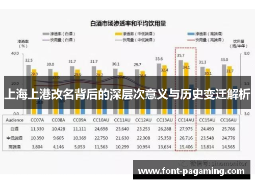 上海上港改名背后的深层次意义与历史变迁解析