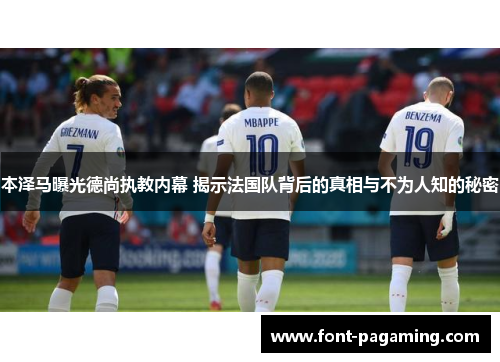 本泽马曝光德尚执教内幕 揭示法国队背后的真相与不为人知的秘密