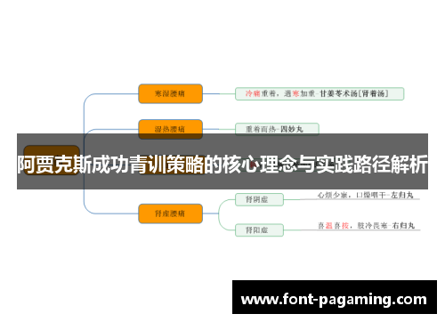 阿贾克斯成功青训策略的核心理念与实践路径解析