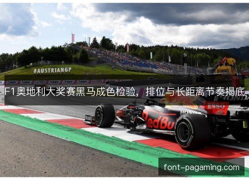 F1奥地利大奖赛黑马成色检验，排位与长距离节奏揭底